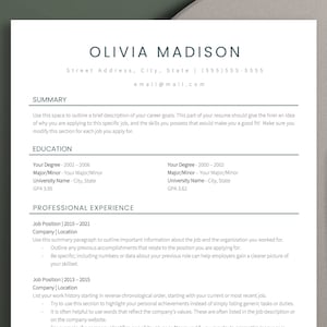 Functional Resume Template Microsoft Word One Page Resume Professional CV Skills Resume Template Two Page Cover Letter and Reference