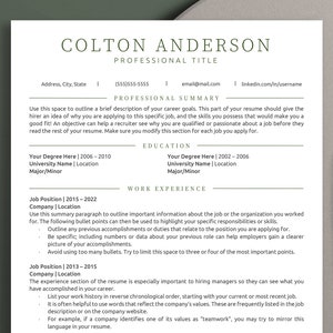 Modern Resume Minimalist Resume Template Word Skills Based Resume Academic CV Simple Professional Resume