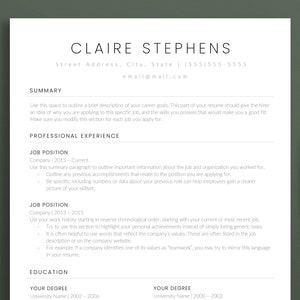 Functional Resume Template Microsoft Word One Page Resume Professional CV Skills Resume Template Two Page Cover Letter and Reference