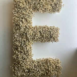 Letra inicial de aliento de bebé seco para boda, monograma de aliento de bebé preservado, letras de marquesina independientes con flores naturales, decoración de boda blanca