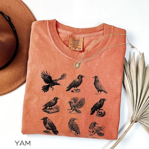Raven 90s Vintage Style Tshirt Retro Comfort Colors® Y2k Crow Shirt Gothic Shirt Dark Academia Aesthetic Tshirt Witchy Forest Raven Shirt
