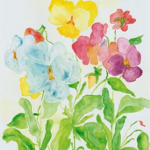 Stiefmütterchen - Aquarelldruck