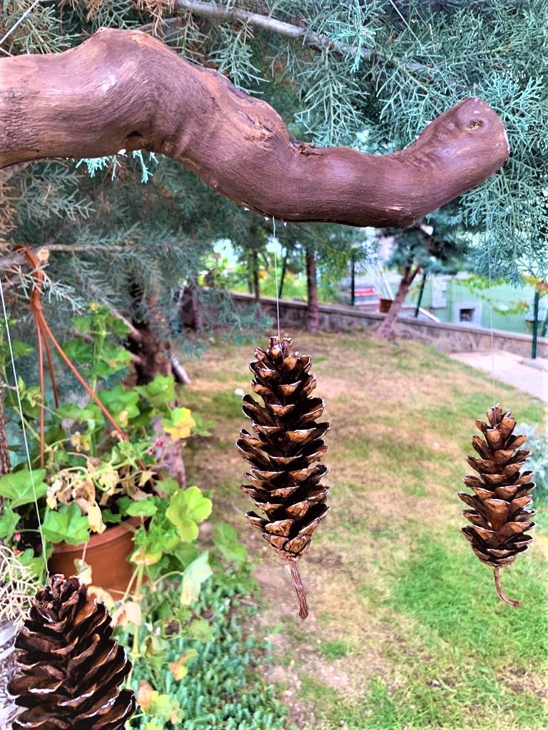 Herrliche Kiefernzapfen Dekoration Handgemachte | Etsy