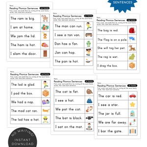 May include: Educational printable phonics flashcards with sentences for early readers. The cards feature colorful illustrations and simple sentences like "The ram is big." Includes a blue badge with "250 SENTENCES".