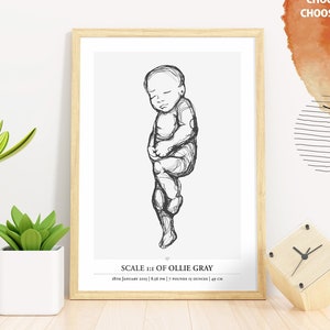 Poster di nascita in scala 1:1 - Illustrazione personalizzata per neonati per l'arredamento della cameretta / Poster personalizzato per neonati / File digitali