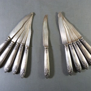11 French Dessert knives Solid silver blades - Goldsmith Hénin & Cie 19th century