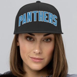 Panthers Embroidered Snapback Hat