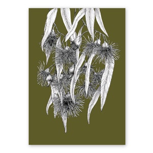 The Flowering Gum, Australian Art/Floral illustration/Art print, A4, A3, A2,Birthday present/Housewarming gift/Anniversary/Flower Wall Art