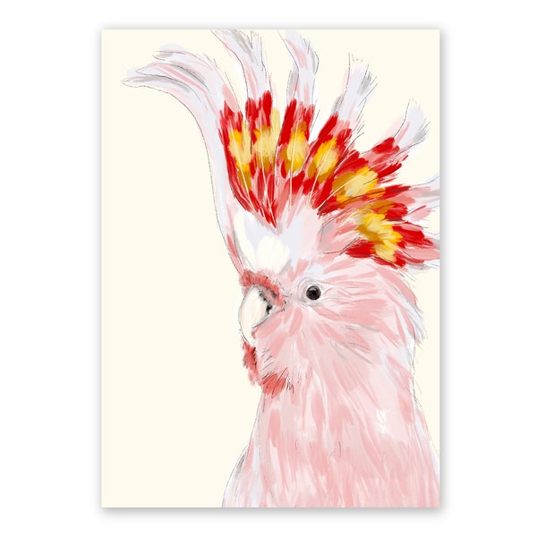 Major Mitchell Cockatoo, Australian Art/Bird illustration/Art print,A4, A3, A2,Birthday present/Housewarming gift/Anniversary/Bird Wall Art