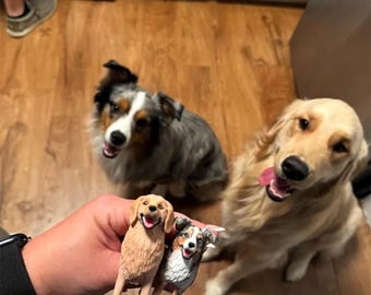 Custom Pet Wedding Cake Toppers,Personalized Dog Cake Toppers,Pet Figurines,Dog Birthday Gifts,Wedding gifts,Anniversary Gifts,Pet Wedding.