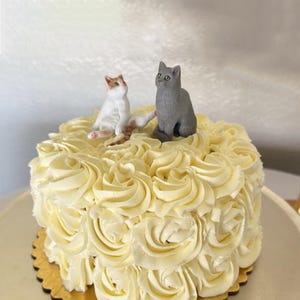 Personalized custom cat wedding cake topper , Pets Birthday , cat caketopper , Anniversary pet , Cat figurines，Dog CakeTopper