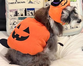 Pumpkin Pet Costume for Halloween