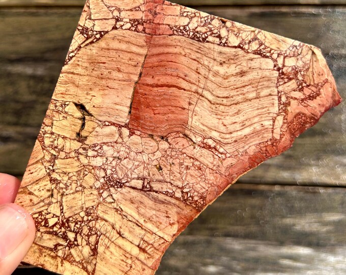 Chipboard Rhyolite Stone Slab: Pink, Red, Brown, Tan Lapidary Material ...