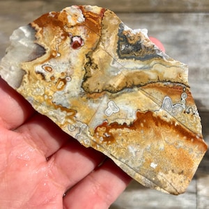 May include: A natural stone slab with a unique pattern of colors. The stone features shades of brown, tan, cream, and gray, with intricate veining and circular patterns. The surface has a rough texture, and the overall shape is irregular.