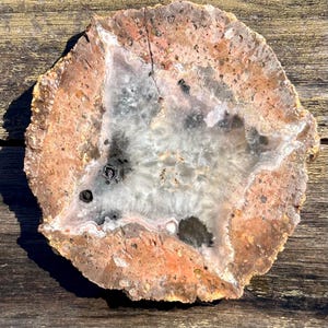 May include: A cross-section of a geode, showcasing a natural stone with a rough, textured exterior in shades of brown and orange. The interior features a crystalline center with white, gray, and black patterns. The geode is displayed on a wooden surface.