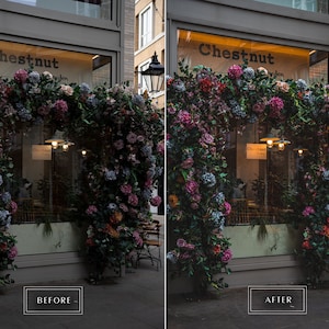 May include: A storefront with a large floral display of pink, purple, and blue flowers. The storefront has a sign that reads "Chestnut".