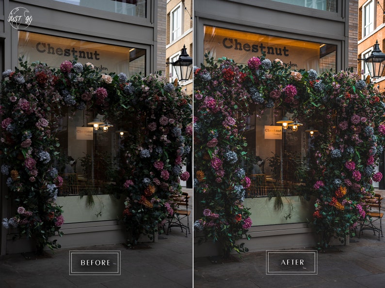 May include: A storefront with a large floral display of pink, purple, and blue flowers. The storefront has a sign that reads "Chestnut".