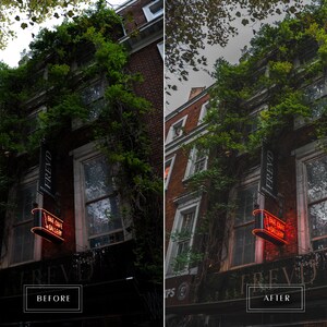 May include: A brick building with a green vine growing up the side. The building has a sign that says "FREVD" and a neon sign that says "BAG CAFE & WINE BAR".
