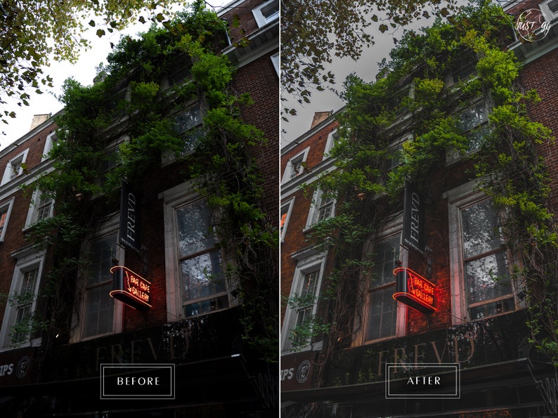 May include: A brick building with a green vine growing up the side. The building has a sign that says "FREVD" and a neon sign that says "BAG CAFE & WINE BAR".