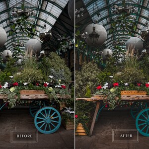 May include: A wooden cart with blue wheels sits in a covered market. The cart is filled with green plants and red and white flowers. The sign on the cart reads "Covent Garden".