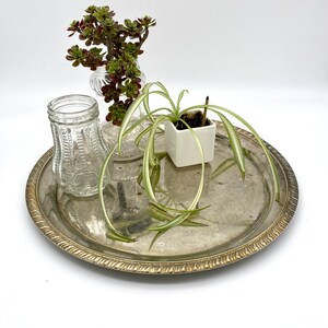 Vintage Round Silver Plated Tray with Braided Trim and Subtle Swirl Detail
