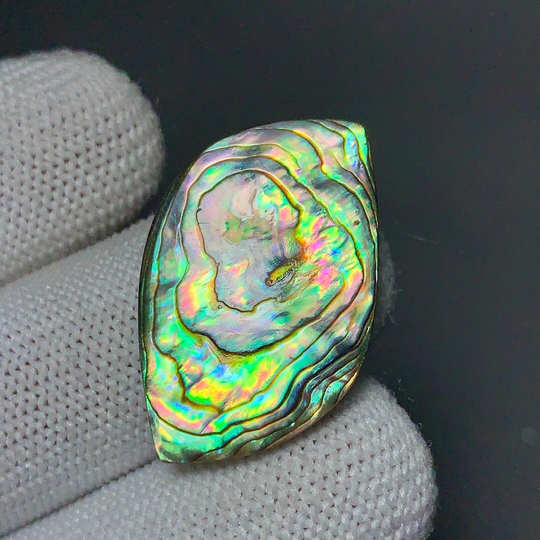 Rare Abalone Shell Cabochon: Fancy Shape Gemstone for Jewelry Making ...