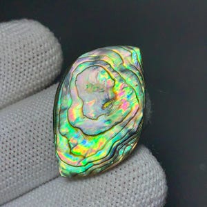 Puede incluir: Concha de abulón iridiscente con forma ovalada y pulida. La concha muestra una vibrante gama de colores, incluyendo verde, azul, amarillo y rosa, con un patrón arremolinado y texturizado. La concha se sostiene sobre un fondo de tela blanca.