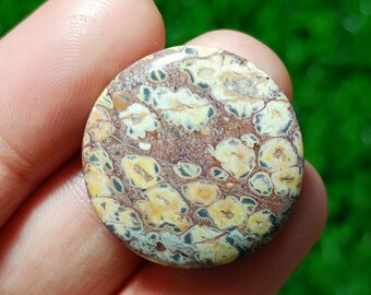 Bird Eye Jasper Stone Healing Loose Hand Polish 26X26X04 MM Valentine Gift Stone Rare Quality Bird Eye Jasper Gemstone Birth Stone US-3438