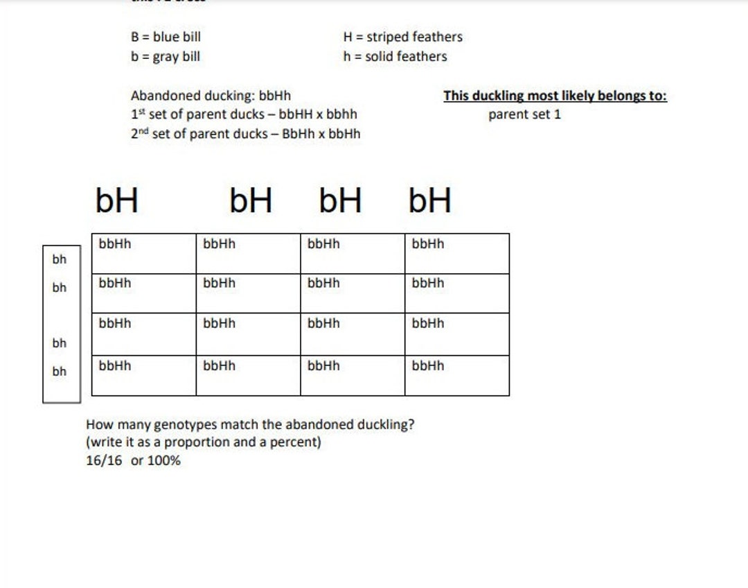 monohybrid-and-dihybrid-crosses-worksheet-9th-grade-science-answer-key