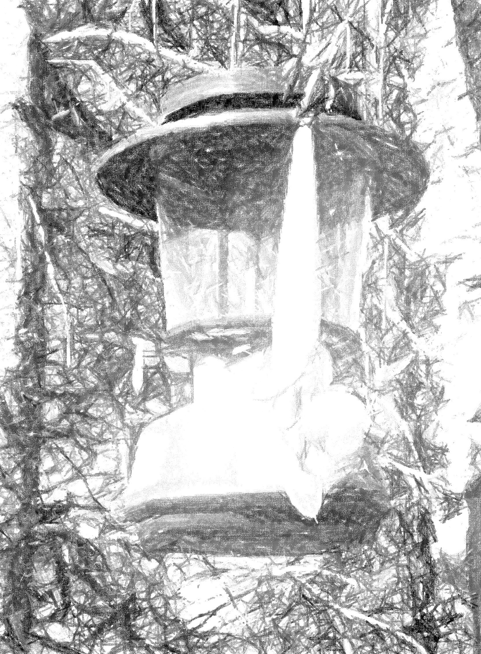 Old Camping Lantern Coloring Sheet - Etsy