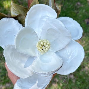 Magnolia  Flower Oyster shell  , Southern Magnolia . Gift -Weddings ,Oyster shell art , ,Charleston SC, Shell Magnolia ,Coastal Decor