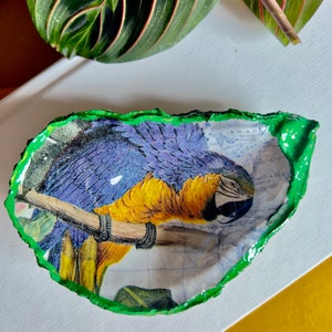 May include: A decorative, hand-painted oyster shell dish. The interior features a detailed image of a blue and yellow macaw perched on a branch. The shell's edge is painted bright green, creating a vibrant contrast. A unique, artistic piece.