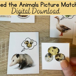 Feed the Animals, Picture Matching, Printable, Digital Download, Preschool, Kindergarten, aba tasks, task bag, special education