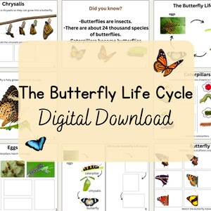 Puede incluir: Una descarga digital colorida para enseñar a los niños sobre el ciclo de vida de la mariposa. La descarga incluye imágenes de huevos, orugas, crisálidas y mariposas. El texto "The Butterfly Life Cycle Digital Download" está en letras grandes y negritas.