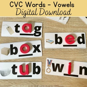 CVC Words Vowel Practice, Consonants and Vowels, Literacy Learning, Printable for school, Task Bag Digital Download, Dry Erase writing