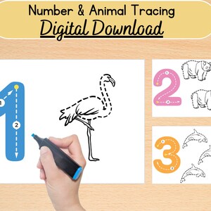 May include: A printable worksheet for kids to practice tracing numbers and animals. The worksheet features a blue number 1, a pink number 2, and an orange number 3. Each number has a dotted line for tracing and an animal to trace. The animals are a flamingo, a panda, and a dolphin.