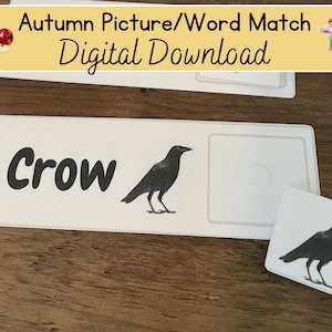 Autumn Word/Picture Match Task Bag Digital Download