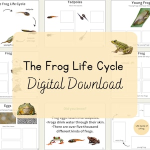The Frog Life Cycle Digital Download Activity Learning Book for ELA ...