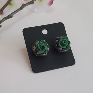 Succulent Earrings | Terrarium Earrings | Realistic Polymer Clay Jewelry