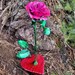 Forever Roses - Etsy