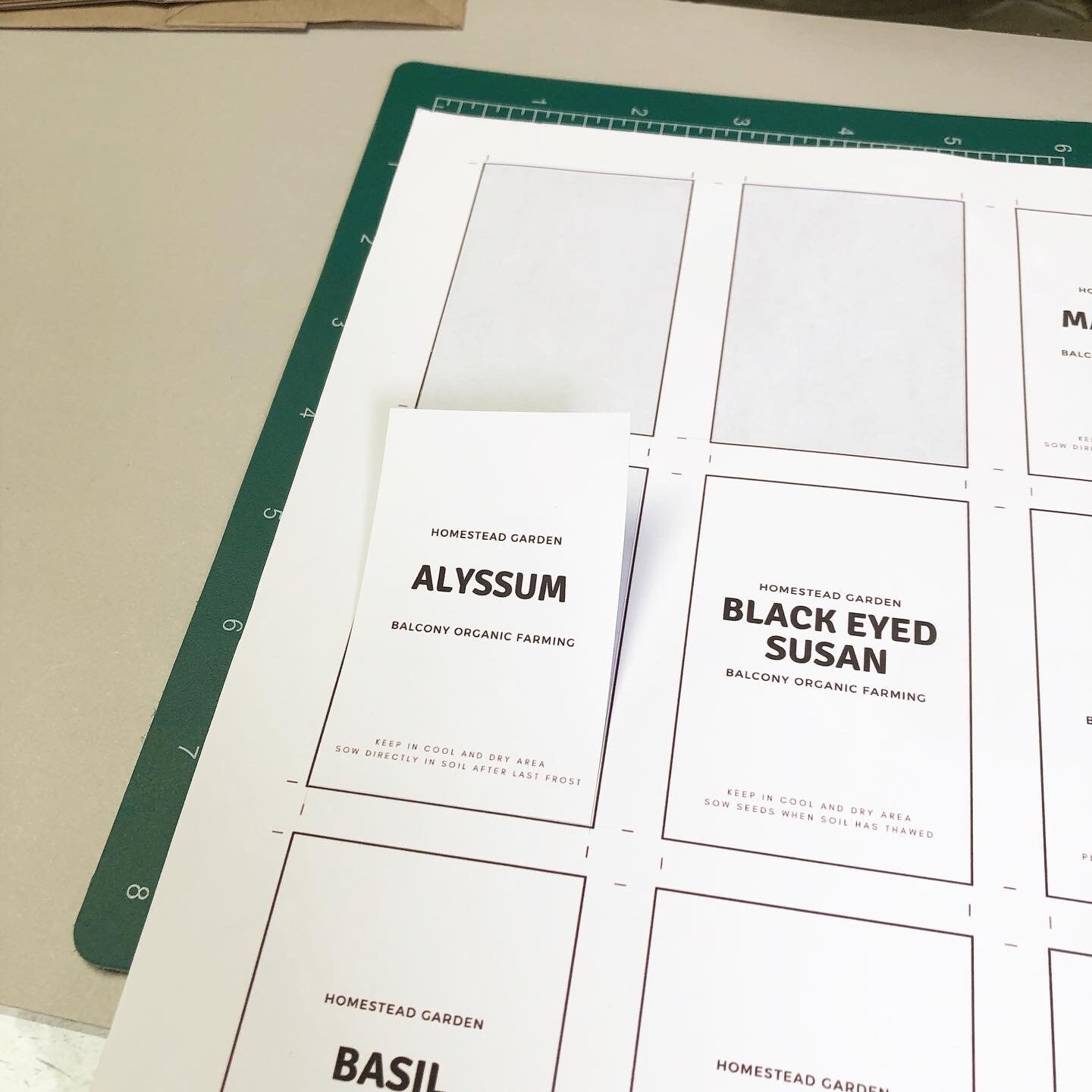 Save Labels Seeds and Bulbs Saving Labels Printable Editable on Canva #03 [INSTANT ...