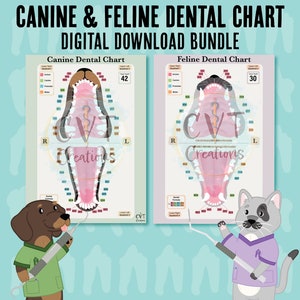 Hunde & Katzen Dental Chart Bundle (Digitaler Download)