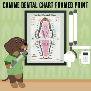 FRAMED Canine Dental Print