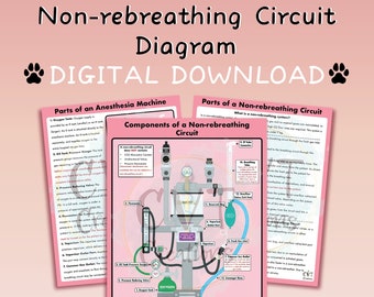 Non-rebreathing Anesthetic Circuit Diagram (Digital Download)