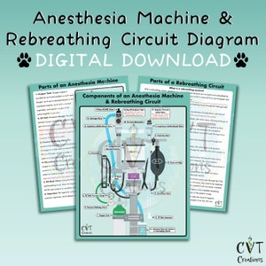 Peut inclure: Un diagramme téléchargeable d'une machine d'anesthésie et d'un circuit de respiration. Le diagramme montre les composants de chaque système, y compris la bouteille d'oxygène, le manomètre, les tubes respiratoires et le sac réservoir. Le diagramme est numéroté et décrit chaque partie.