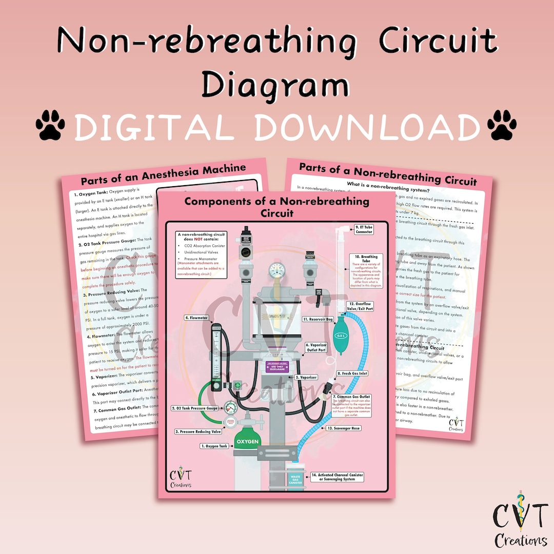 Nonrebreathing Anesthetic Circuit Diagram digital Download Etsy