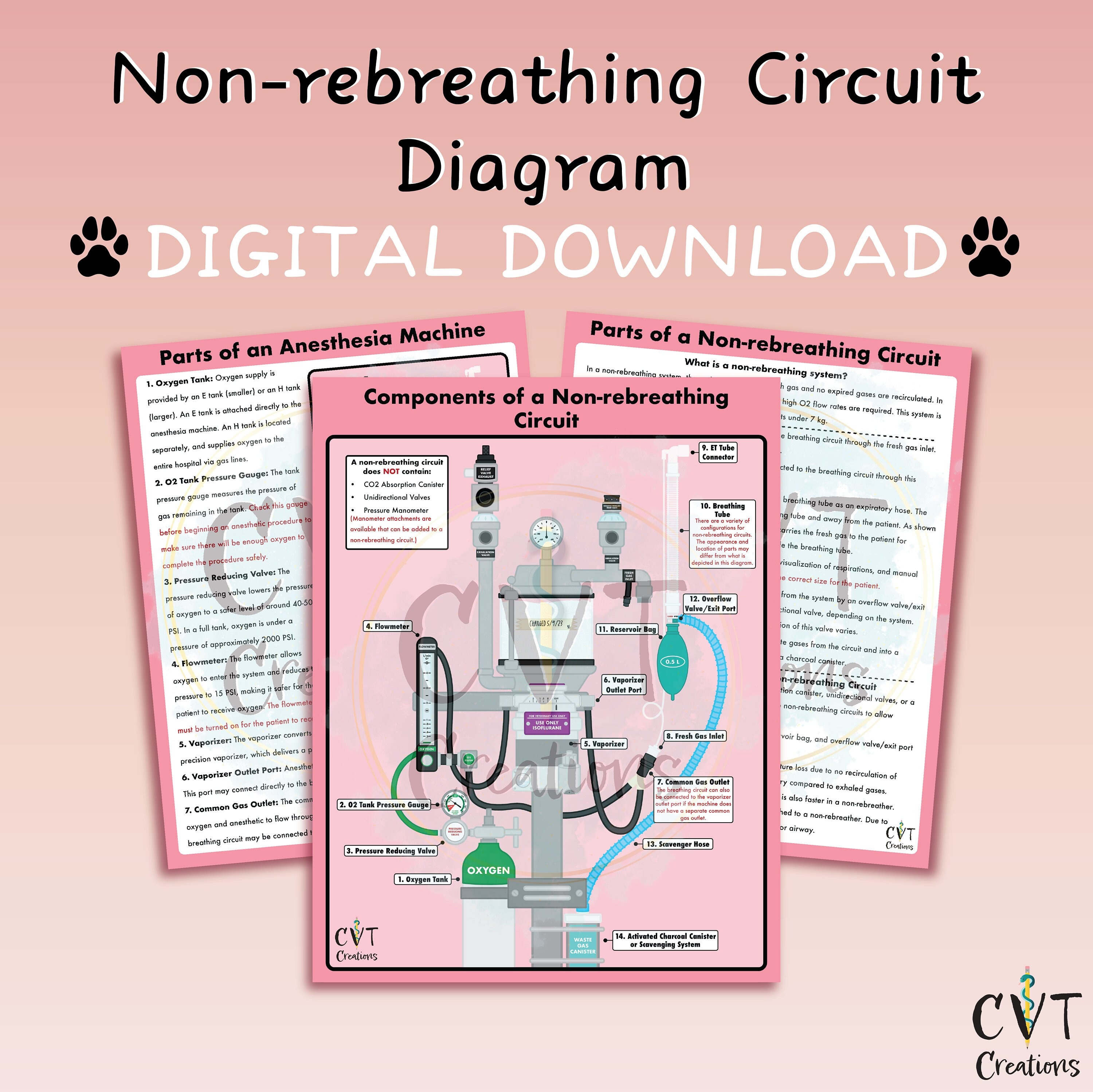 Nonrebreathing Anesthetic Circuit Diagram digital Download Etsy
