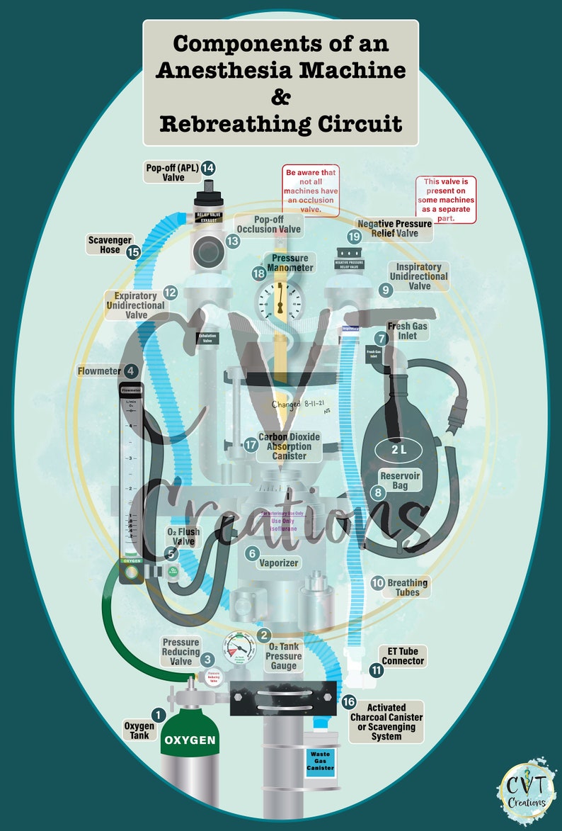 Anesthesia Machine & Rebreathing Circuit Diagram digital Etsy