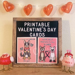 Tarjetas de San Valentín para mascotas (8 postales digitales de 4" x 5,25")