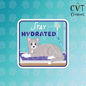 Stay Hydrated (SQ fluids) Sticker